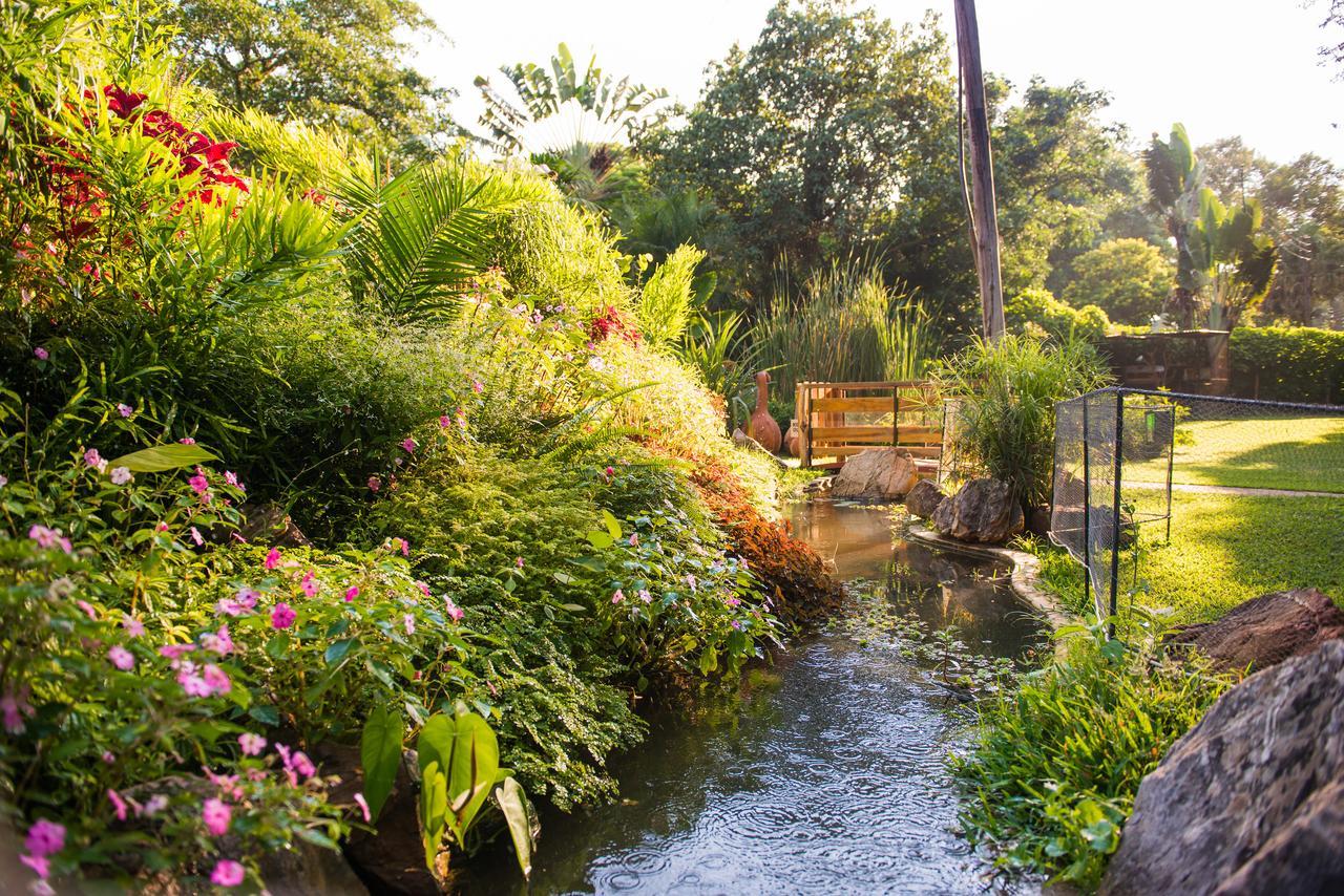 Fringilla Lodge Chisamba Bagian luar foto