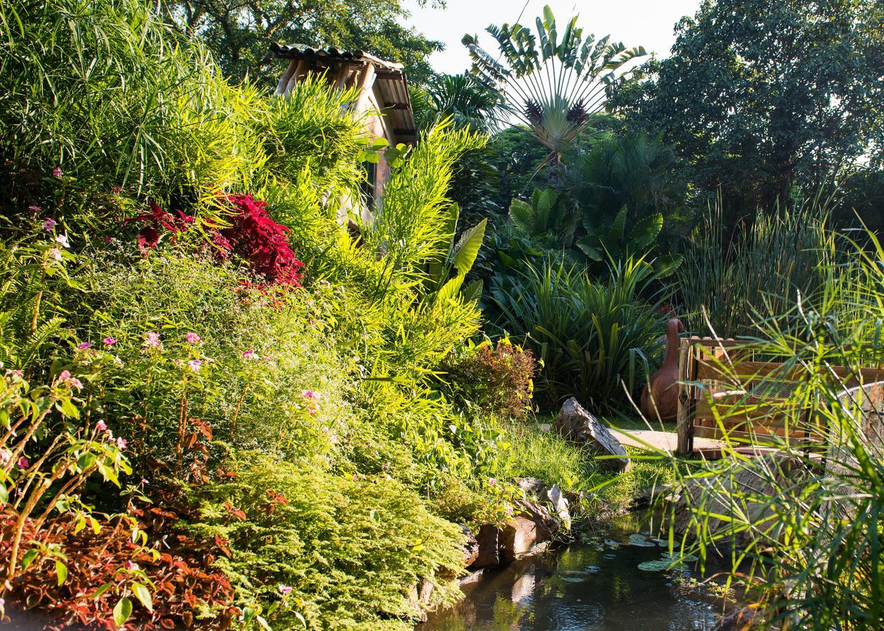 Fringilla Lodge Chisamba Bagian luar foto